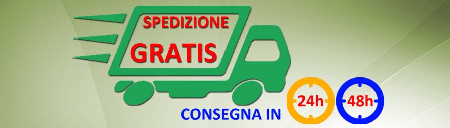 Spese di Spedizione DMwebShop - dm spedizione - dm web shop - forniture per ufficio online con spedizione gratuita - Corriere Partenza Magazzino Milano - DMwebShop
