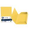 Cartellina 3 lembi Luce 200 gr A4 cartoncino bristol giallo sole - 5096