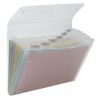 Cartella a soffietto Ice - 6 tasche - 22 x 30 cm - trasparente - Rexel - 2102033 - 5028252255851 - DMwebShop
