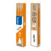 Refill a sfera Frixionball punta 0,7 mm arancio - 2199