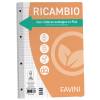 Ricambi con rinforzo ecologico - A4 - 100 gr - 40 fogli - 5 mm - con margine - Favini - A475414 - 8007057237634 - DMwebShop