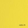 Cartoncino Elle Erre - 70 x 100 cm - 220 gr - cedro 125 - blister 10 fogli - Fabriano - 46470125 - 8001348121923 - DMwebShop