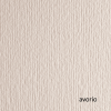 Cartoncino Elle Erre - 70 x 100 cm - 220 gr - avorio 101 - blister 10 fogli - Fabriano - 19100117 - 8001348192237 - DMwebShop
