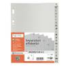 Separatore alfabetico A-Z Record R - PPL - 15 x 21 cm - A5 - grigio - Sei Rota - 581500 - 8004972270029 - DMwebShop