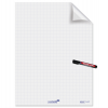 Fogli elettrostatici Magic Chart - 60 x 80 cm - quadretti 2,5 cm - rotolo da 25 pezzi - Legamaster - L-1590 00 - 8713797095167 - DMwebShop