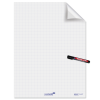 Fogli elettrostatici Magic Chart - 60 x 80 cm - quadretti 2,5 cm - rotolo da 25 pezzi - Legamaster - L-1590 00 - 8713797095167 - DMwebShop
