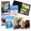 Album portafoto a busta saldato assortiti - 23 x 30 cm - contiene fino a 80 foto da 14 x 19 cm - Lebez - 2757 - 8007509027578 - DMwebShop