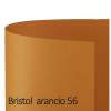 Cartoncino Bristol Color 50 x 70 cm 200 gr arancio 56 - 18568