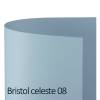 Cartoncino Bristol Color 70 x 100 cm 200 gr celeste 08 blister 10 fogli - 18583
