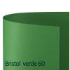 Cartoncino Bristol Color - 70 x 100 cm - 200 gr - verde 60 - conf. 10 pezzi - Favini - A35D0A1 - 8007057570076 - DMwebShop