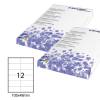 Etichetta adesiva - carta - permanente - 105 x 48 mm - 12 etichette per foglio - bianco - conf. 100 fogli A4 - Starline - X210ODC504 - 8025133013798 - DMwebShop