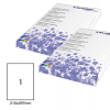 Etichetta adesiva - in carta - permanente - 210 x 297 mm - 1 etichetta per foglio - bianco - conf. 100 fogli A4 - Starline - X210ODC503 - 8025133013927 - DMwebShop