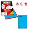 Etichette adesive C 509 in carta permanenti 210 x 148,5 mm 100 fogli blu - 10062