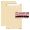 Busta sacco MULTI STRIP avana carta riciclata FSC strip adesivo - 250 x 353 mm - 100 gr - conf. 500 pezzi - Pigna - 0099076B4 - 8005235320918 - DMwebShop