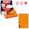 Etichette adesive C 503 in carta permanenti 210 x 297 mm 100 fogli - 7913