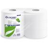 Carta igienica Eco Maxi Jumbo 2 veli 16,5 gr 9,1 cm x 360 mt diametro 25 - 5 cm 360 mt Lucart 812173P - 305