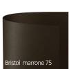 Cartoncino Bristol Color 70 x 100 cm 200 gr marrone 75 - 18658 Cartoncino Bristol Color 70 x 100 cm 200 gr marrone 75 - 18658