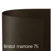 Cartoncino Bristol Color 70 x 100 cm 200 gr marrone 75 - 18658