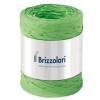 Nastro Rafia sintetica - verde chiaro 10 - 5 mm x 200 mt - Brizzolari - 01003710 - 8031653208569 - DMwebShop