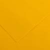 Foglio Colorline - 70 x 100 cm - 220 gr - giallo oro - conf. 25 pezzi - Canson - 200041191 - 3148954227085 - DMwebShop