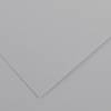 Foglio Colorline - 70 x 100 cm - 220 gr - grigio chiaro - conf. 25 pezzi - Canson - 200041221 - 85592A - DMwebShop Foglio Colorline - 70 x 100 cm - 220 gr - grigio chiaro - conf. 25 pezzi - Canson - 200041221 - 85592A - DMwebShop