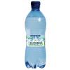 Acqua frizzante - PET - bottiglia da 500 ml - riciclabile - conf. 24 pezzi - Levissima - 12456720 - 80069430 - DMwebShop Acqua frizzante - PET - bottiglia da 500 ml - riciclabile - conf. 24 pezzi - Levissima - 12456720 - 80069430 - DMwebShop