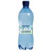 Acqua frizzante PET riciclabile bottiglia da 500 ml - 24527