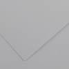 Foglio Colorline 70 x 100 cm 220 gr grigio chiaro - 1787