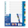 Divisori alfabetici 20 tacche - PP - A4 maxi - colori assortiti - Favorit - 400132467 - 8006779029350 - DMwebShop