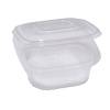 Contenitori in PP - con coperchio incernierato - 15,5 x 15,5 x 5,7 cm - conf. 50 pezzi - Europack - 48411072 - 8007626780073 - DMwebShop