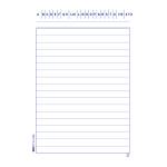 Schede in cartoncino rigate - 15 x 10,5 cm - verticale - conf. 100 pezzi - Edipro - E3103BL - 8023328310318 - DMwebShop