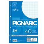 Ricambi forati rinforzati - A4 - quadretto 5 mm - 40 fogli - 80 gr - Pigna - 02194595M - 8005235102156 - DMwebShop