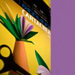 Cartoncino CartaCrea - 35 x 50 cm - 220 gr - viola - blister 10 fogli - Fabriano - 46435104 - 8001348127581 - DMwebShop