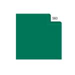 Carta velina 50 x 70 cm 20 gr verde 560 busta 26 fogli - 9713