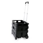 Carrello pieghevole con cassa in plastica portata max 25 kg - 22818