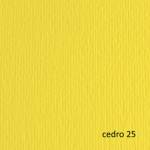 Cartoncino Elle Erre 50 x 70 cm 220 gr cedro 25 blister 20 fogli - 42450725 - 8001348146629 - DMwebShop
