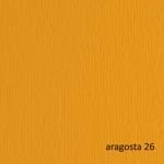 Cartoncino Elle Erre 50 x 70 cm 220 gr aragosta 26 blister 20 fogli - 10675