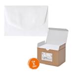 Scatola 100 buste bianche - Bristol - bianco - 90 x 140 mm - Rex Sadoch - 8209 - 8004999820900 - DMwebShop