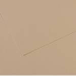 Foglio Mi-Teintes - A4 - 160 gr - grigio trianon - conf. 25 pezzi - Canson - C31032S014 - 92883A - DMwebShop