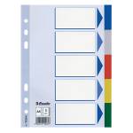 Separatore - 5 tasti colorati - PPL - A5 - multicolore - Esselte - 15264 - 5902812152647 - DMwebShop