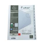 Intercalare numerico - PPL riciclato - A4 - 12 tasti - A-Z - grigio - Exacompta - 1912E - 3130630019121 - DMwebShop