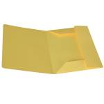 Cartellina 3 lembi 200 gr cartoncino bristol giallo sole Starline - 514