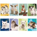 Maxiquaderno Cucciolissimi 2023 A4,4 mm 21 fogli 80 gr - 28874