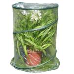 Serra Pop up Anthurium 70 x 100 cm trasparente - 29378