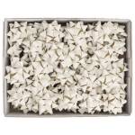 Stelle di nastro carta erba 15 mm x diametro 6,5 cm avorio - 29312