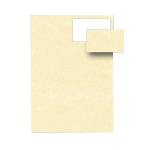 Biglietti da visita - 85 x 54 mm - 165 gr - microperforati - avorio - conf. 12 fogli da 10 biglietti - Decadry - T012028 - 5413493171006 - DMwebShop