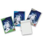 Blocco Cervino - 5 mm - A4 - 21 x 29,7 cm - 50 gr - 50 fogli - conf. 10 pezzi - Pigna - 02119195M - 8005235028449 - DMwebShop