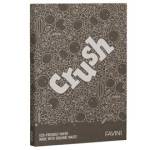 Carta Crush A4 - 250 gr caffe confezione 50 fogli - 9018