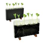 Contenitore Esplora il sottosuolo 30 x 19 x 4 cm - 23097