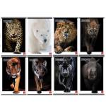 Maxiquaderno Animal A4,1 rigo con margine 42 fogli 80 gr - 25555